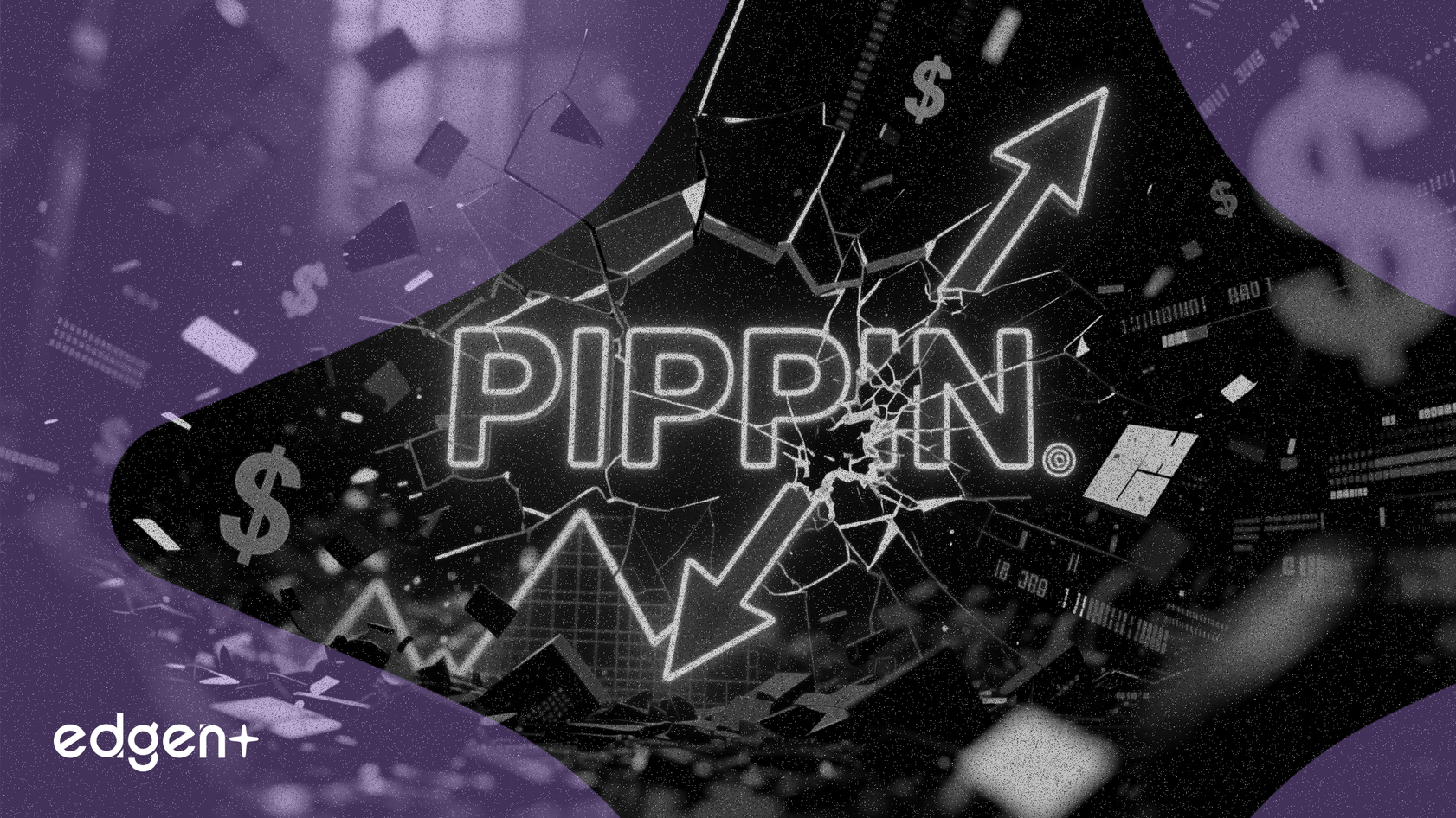 PIPPIN暴跌53%，清算抹去2億美元市值
