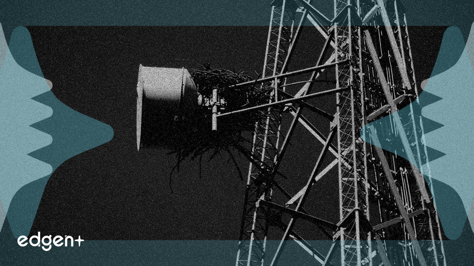 Verizon fija la fecha de resultados para el 30 de enero mientras aumentan el acuerdo Frontier y los riesgos de guerra de precios