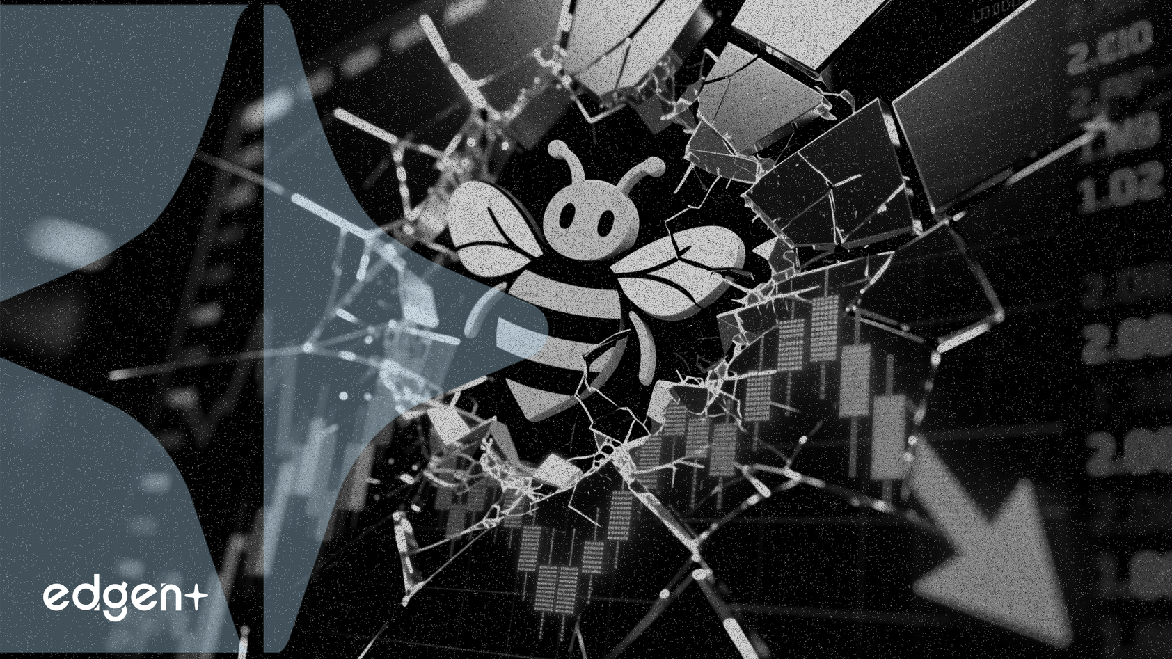 Bumble 목표주가, 개편 난항으로 40% 이상 하향 조정