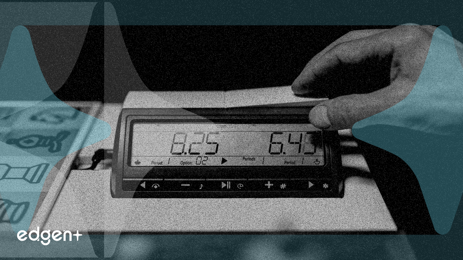 Anichess Detalla el Airdrop de $CHECK con el 39% del Suministro de Tokens Asignado a Jugadores