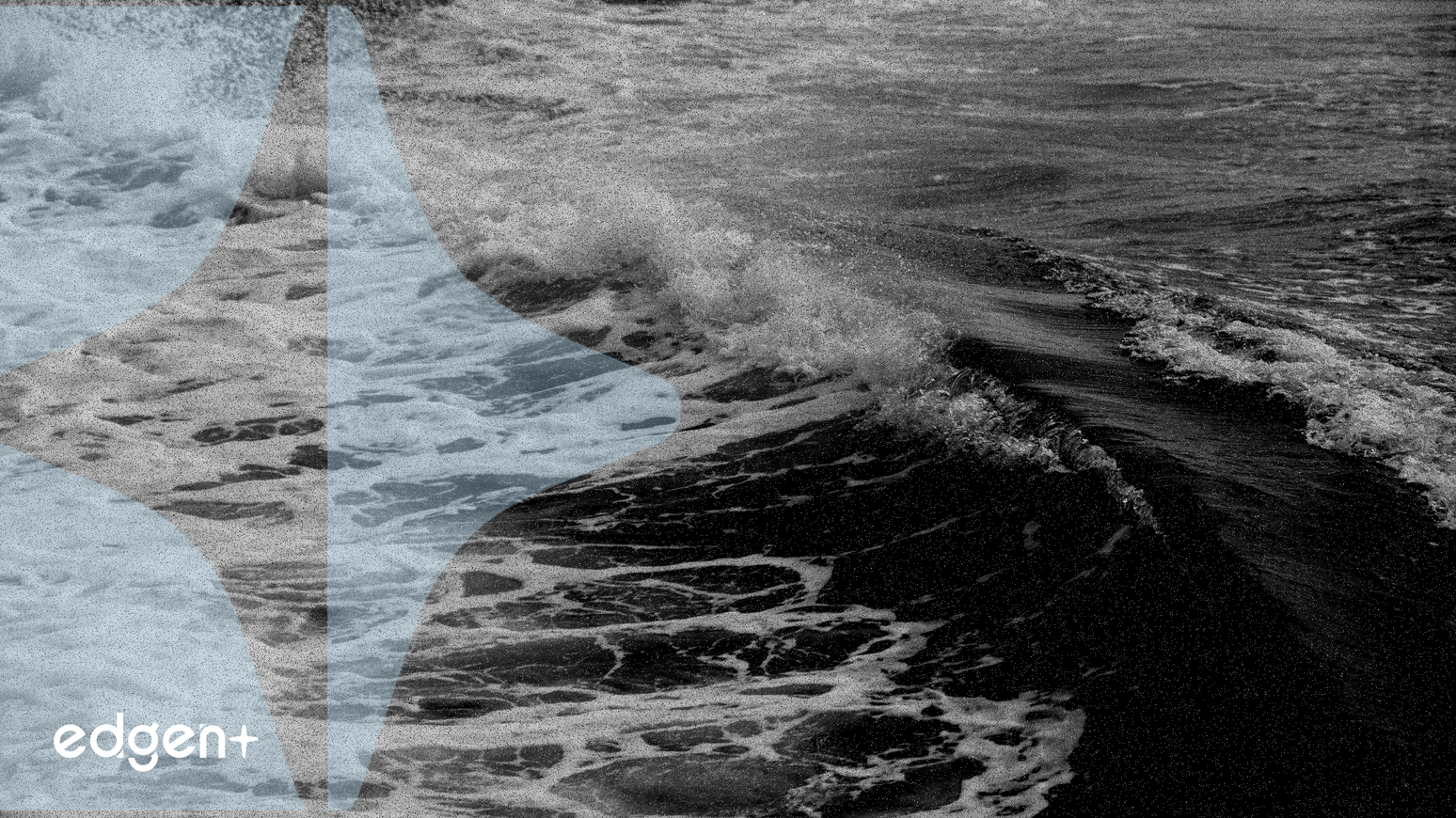 PALU Token, Önceden Duyurulmadan Binance Alpha'da Listelendi, Piyasa Değeri %900 Arttı