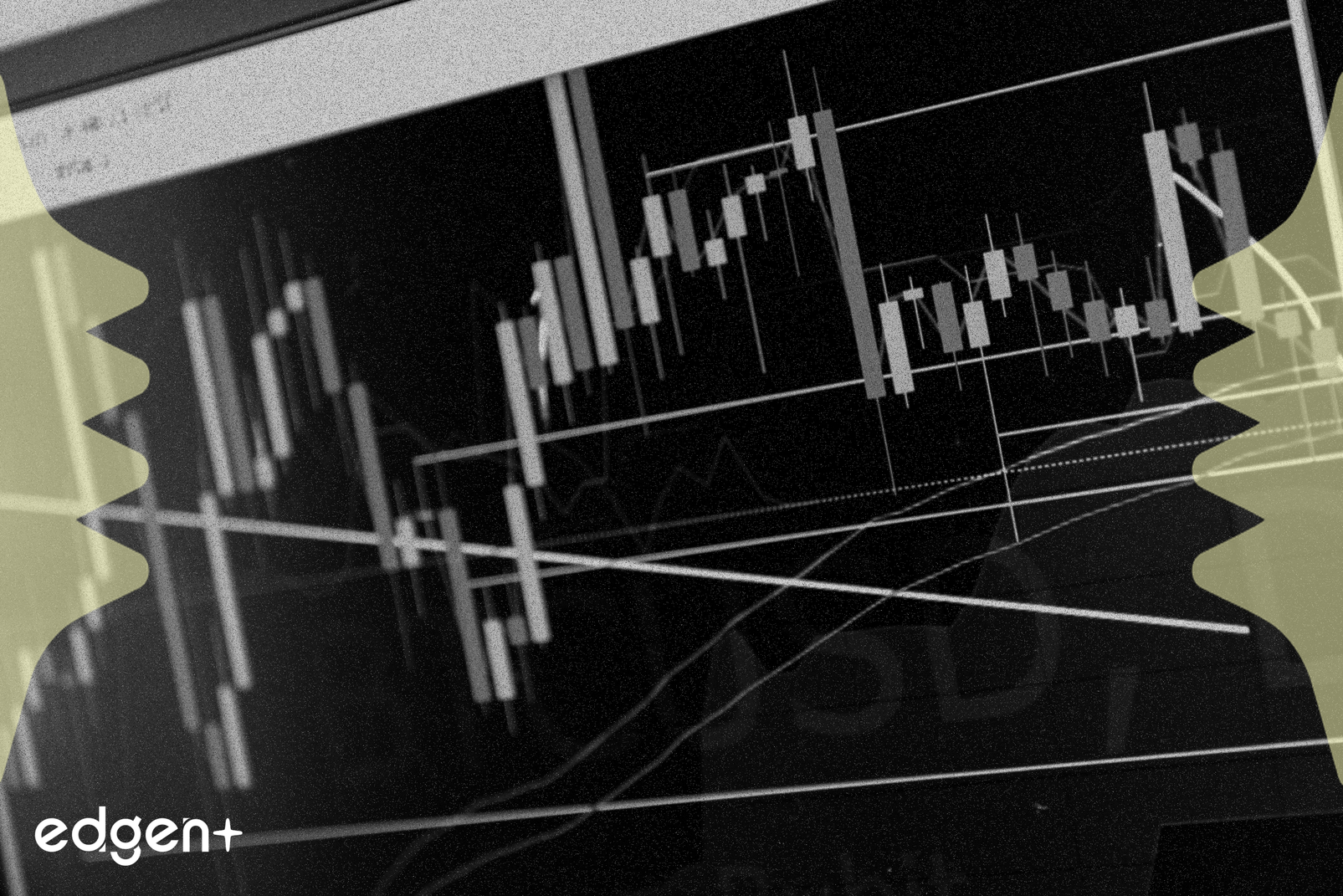 特斯拉面臨審視：估值專家在銷量下滑之際減持股份