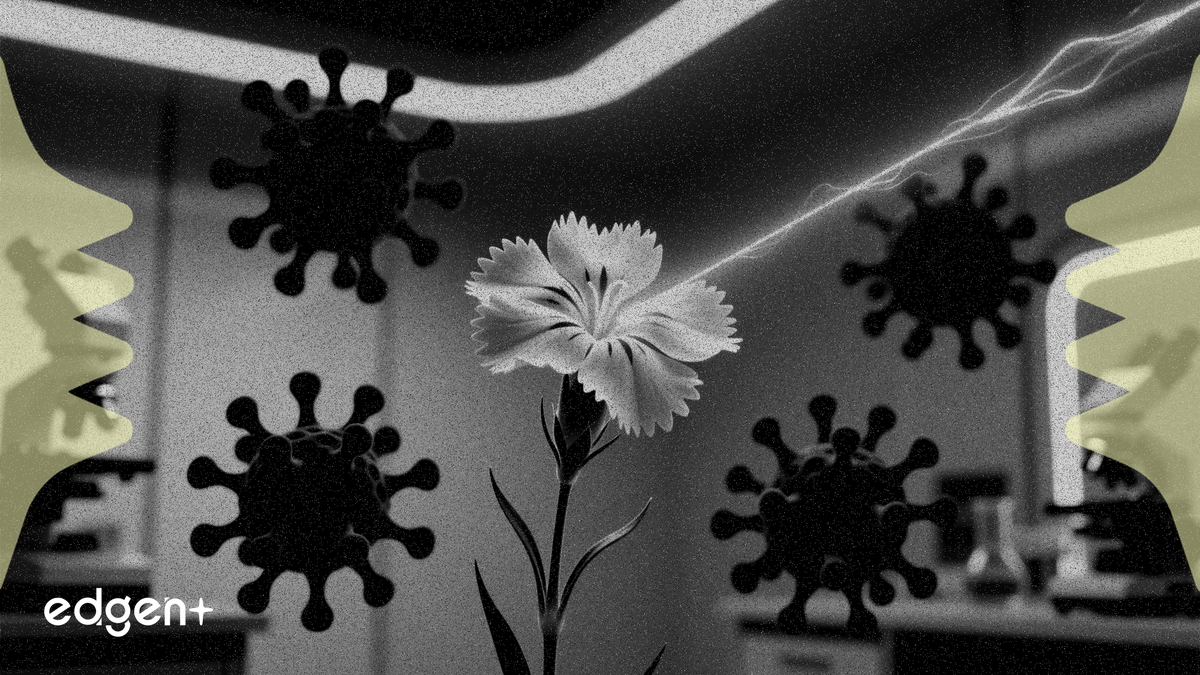Dianthus cible 3 maladies auto-immunes grâce à un nouveau financement