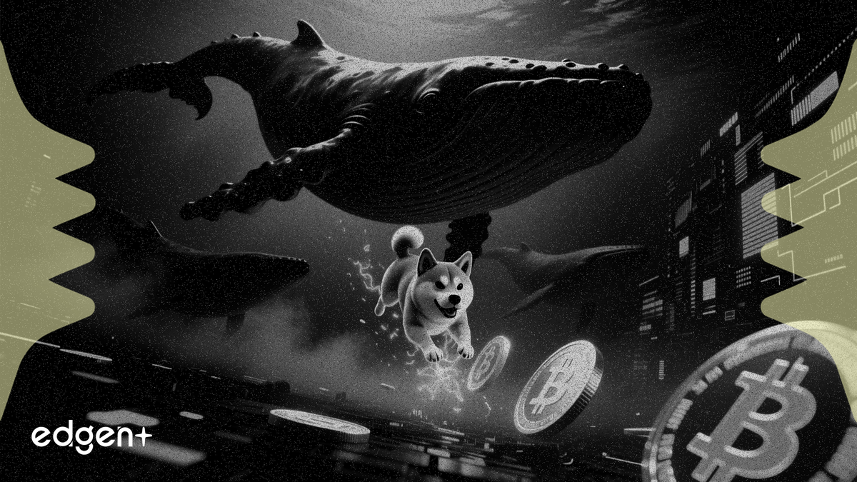 Dogecoin drops 10% to monthly low as whales acquire 525M tokens