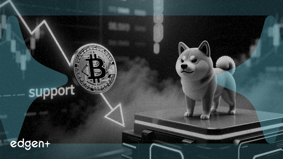 Le Dogecoin chute de 5 % pour tester un support clé alors que le SHIB reste stable