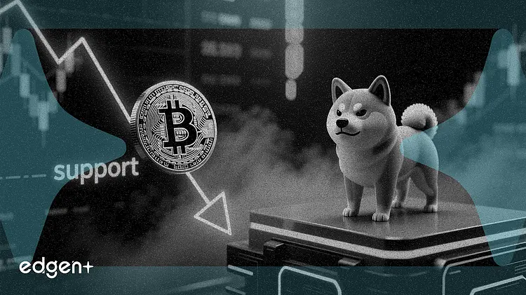 Dogecoin 跌 5% 测试关键支撑位,SHIB 表现平稳