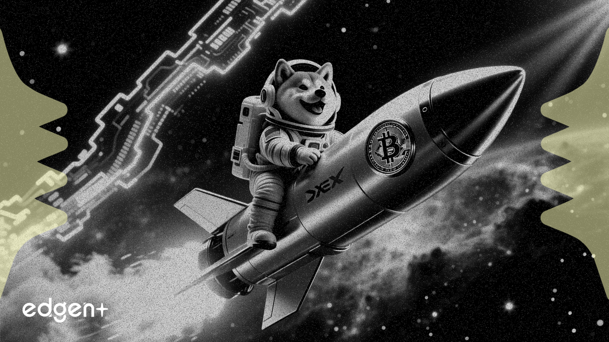 SpaceX IPO 신청 세부 사항 공개로 도지코인 15% 급등
