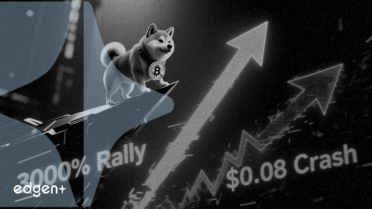 도지코인 0.10달러서 보합세, 3,000% 폭등 vs 0.08달러 폭락 두고 분석가들 의견 팽팽