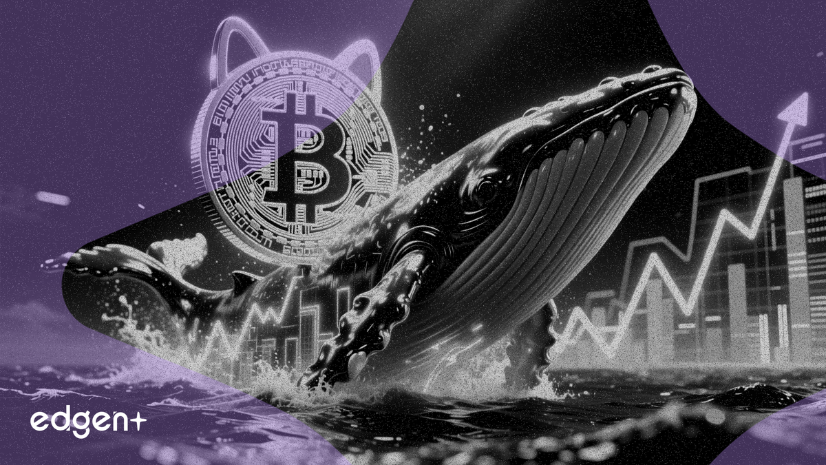 Une baleine Dogecoin achète 3 milliards de DOGE, suscitant des spéculations sur un rallye