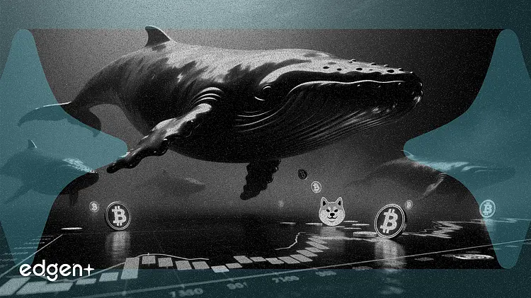 狗狗币巨鲸增持 5 亿枚代币,价格仍处于停滞状态