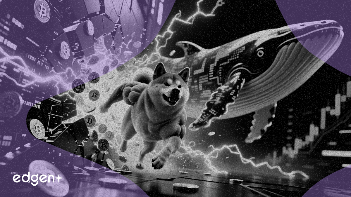 Dogecoin 巨鯨購入 3.3 億美元，幣價挑戰關鍵技術阻力位