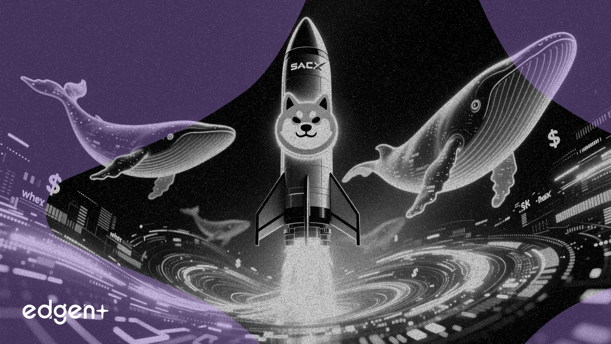 스페이스X IPO 소식에 도지코인 고래들 5억 2,500만 DOGE 매수