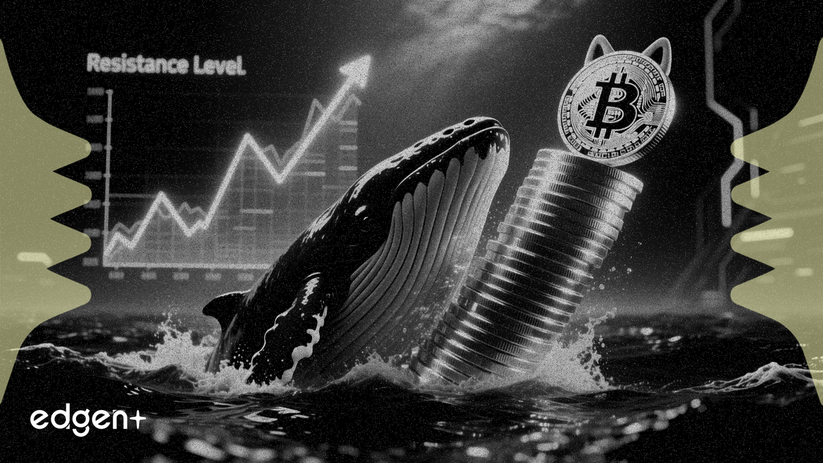 狗狗幣鯨魚購入 5.25 億枚 DOGE，目標突破 0.117 美元阻力位