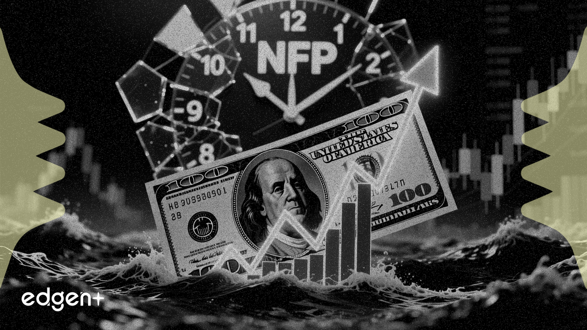 Dollar rallies to 8-week high as NFP looms, rate bets shift