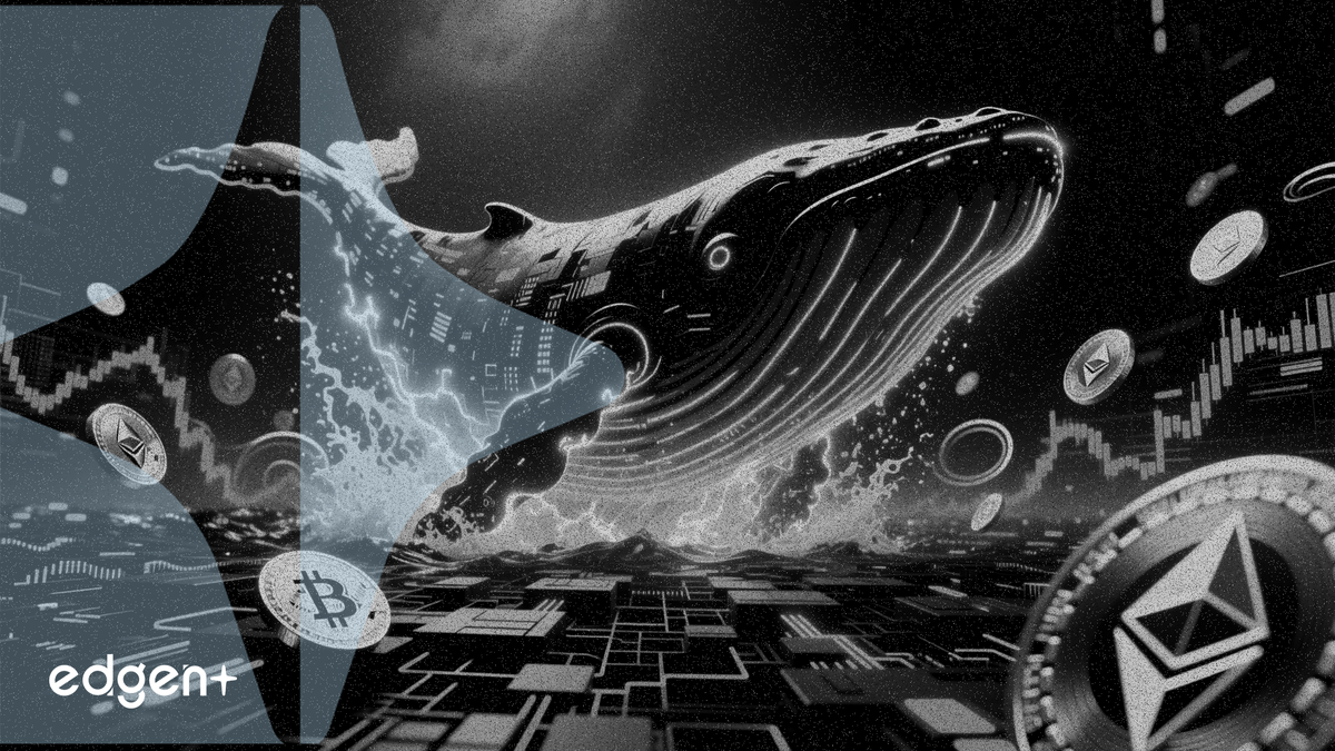Cá voi Ethereum ngủ đông mua 2.570 ETH trị giá 5,8 triệu USD