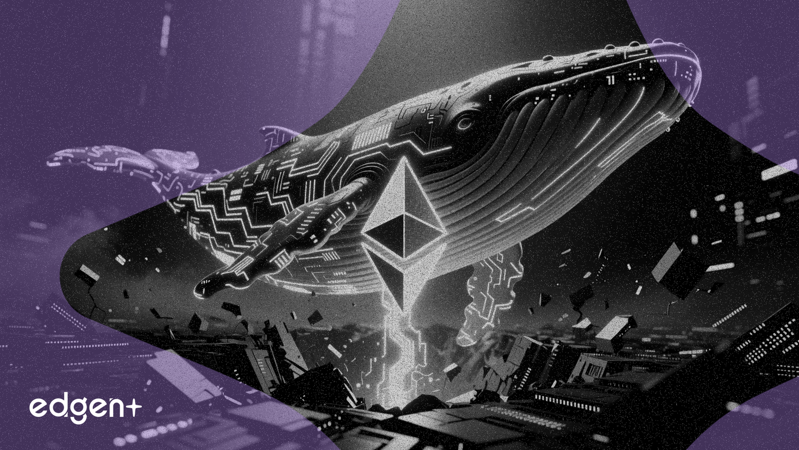 Balina, 250 Milyon Dolarlık Kaybın Ardından ETH Alımlarına Devam Ederek Güven Sinyali Verdi