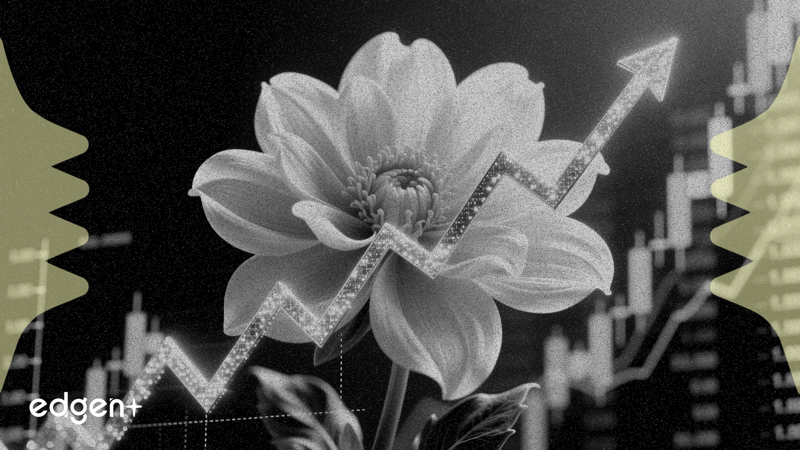 フラワーズ・フーズ、第4四半期利益が予想を上回る、EPSは0.22ドル