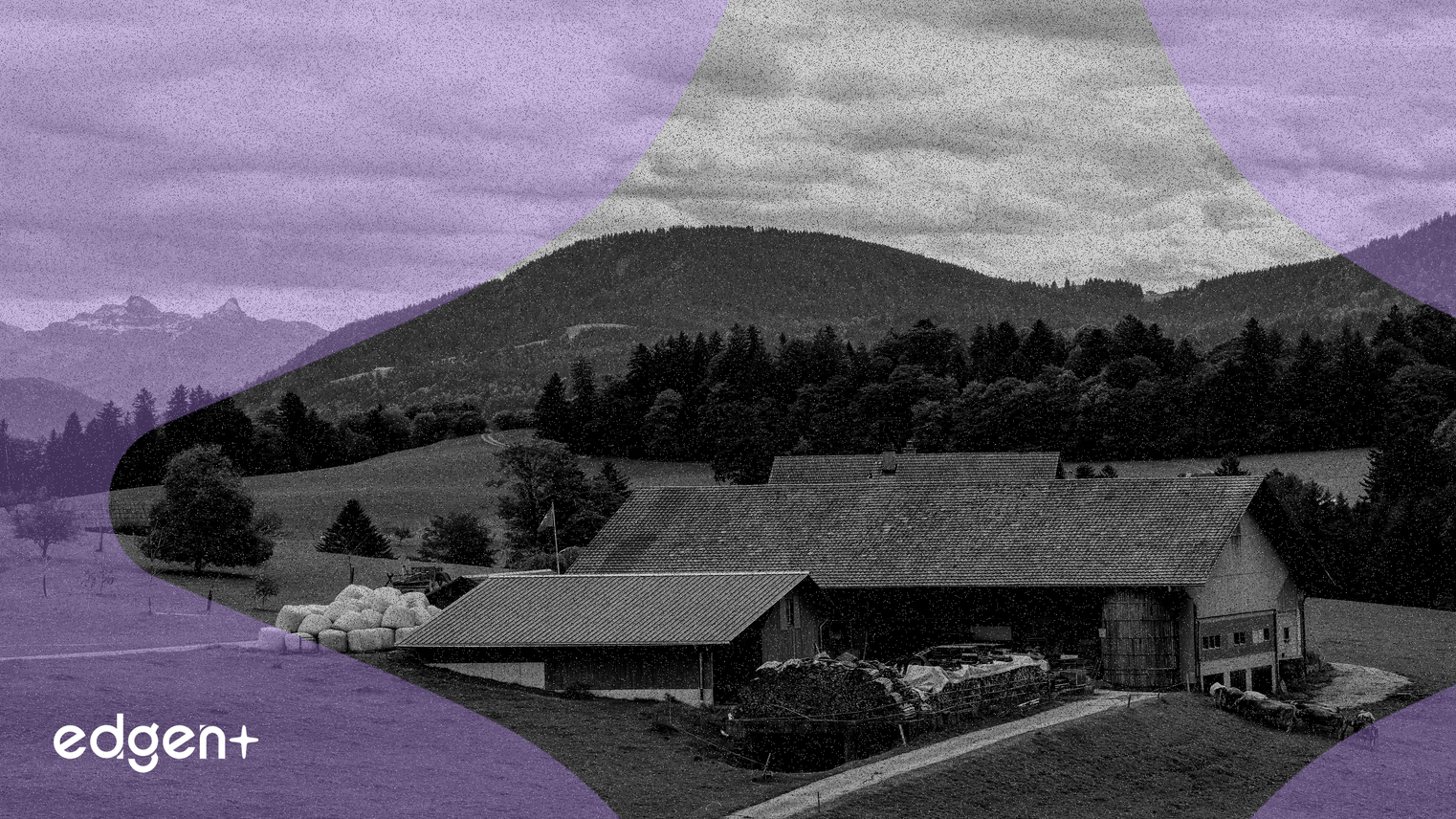 Önemli Kurumsal Gelişmeler Perakende, Gıda ve Kereste Sektörlerinde Farklı Hisse Senedi Performanslarını Tetikliyor