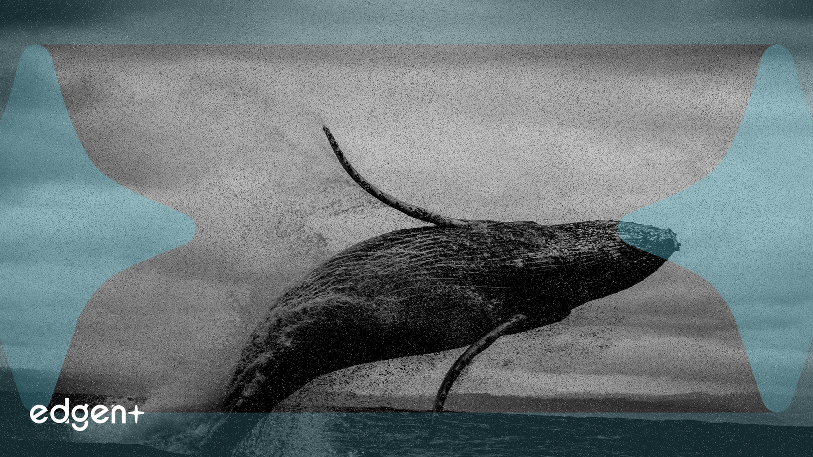 Allegations Link Former BitForex CEO Garrett Jin to $80 Million Crypto Shorting Profit Amid Black Swan Event
