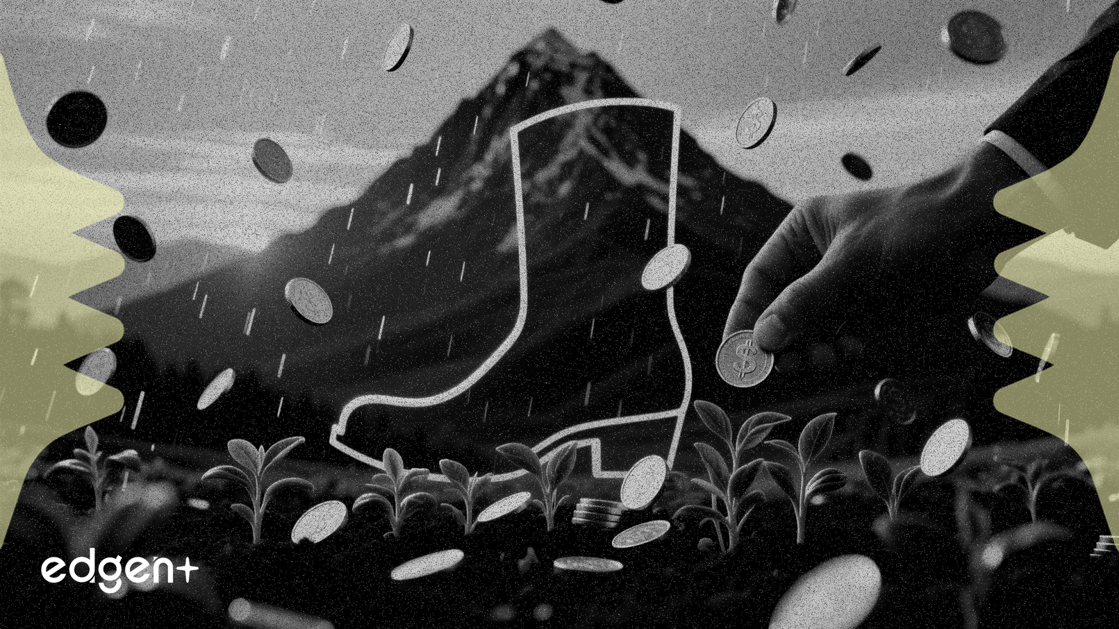 罗基品牌确认季度股息派发