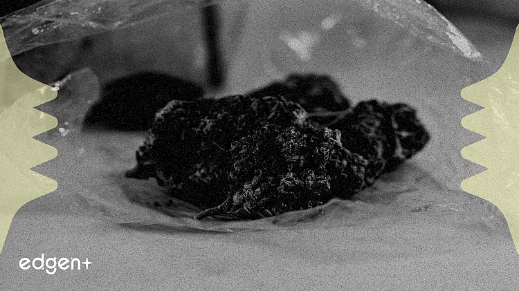 Amicus Therapeutics Strengthens Financial Outlook Amidst Product Growth and Patent Certainty