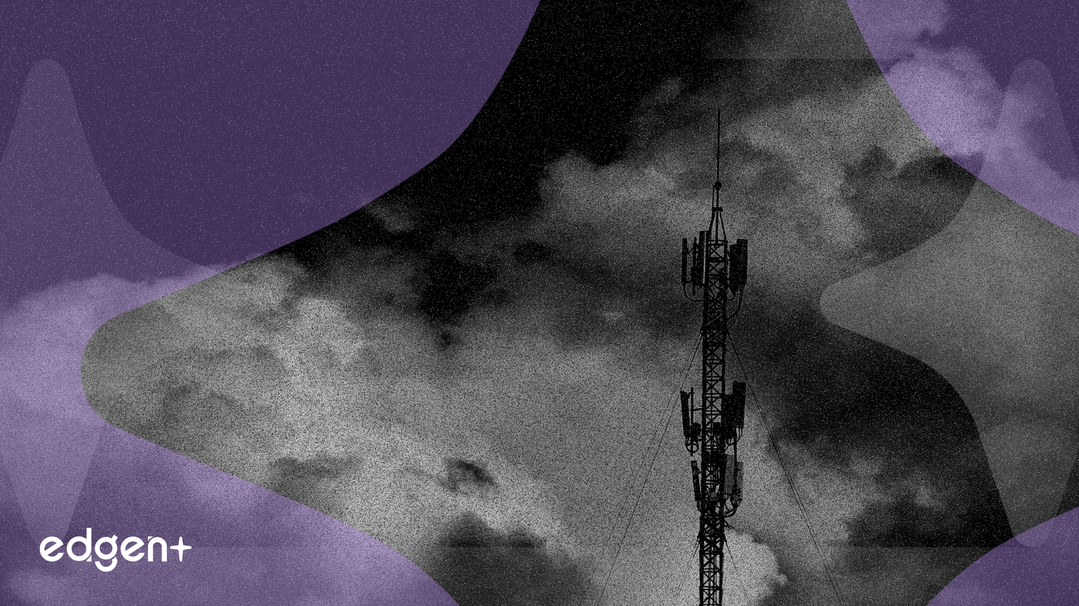 SASE Market Surges as Router Spending Declines