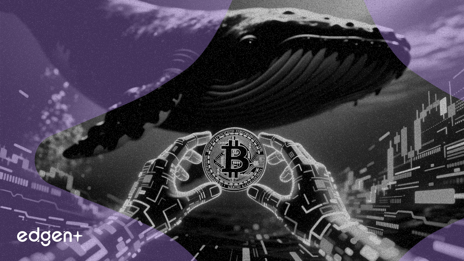 고래 매도에도 불구하고 소매 구매로 LIT 토큰 13% 상승