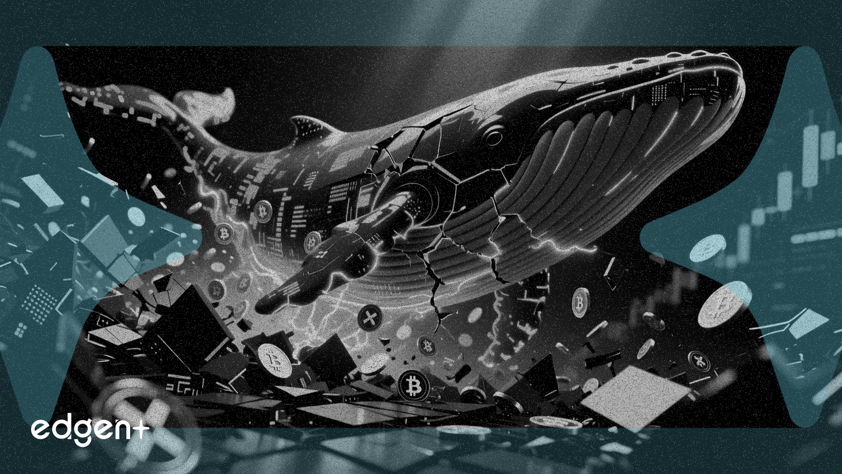 Ballenas de XRP Adquieren 4.180 Millones de Tokens Desde la Caída de Octubre