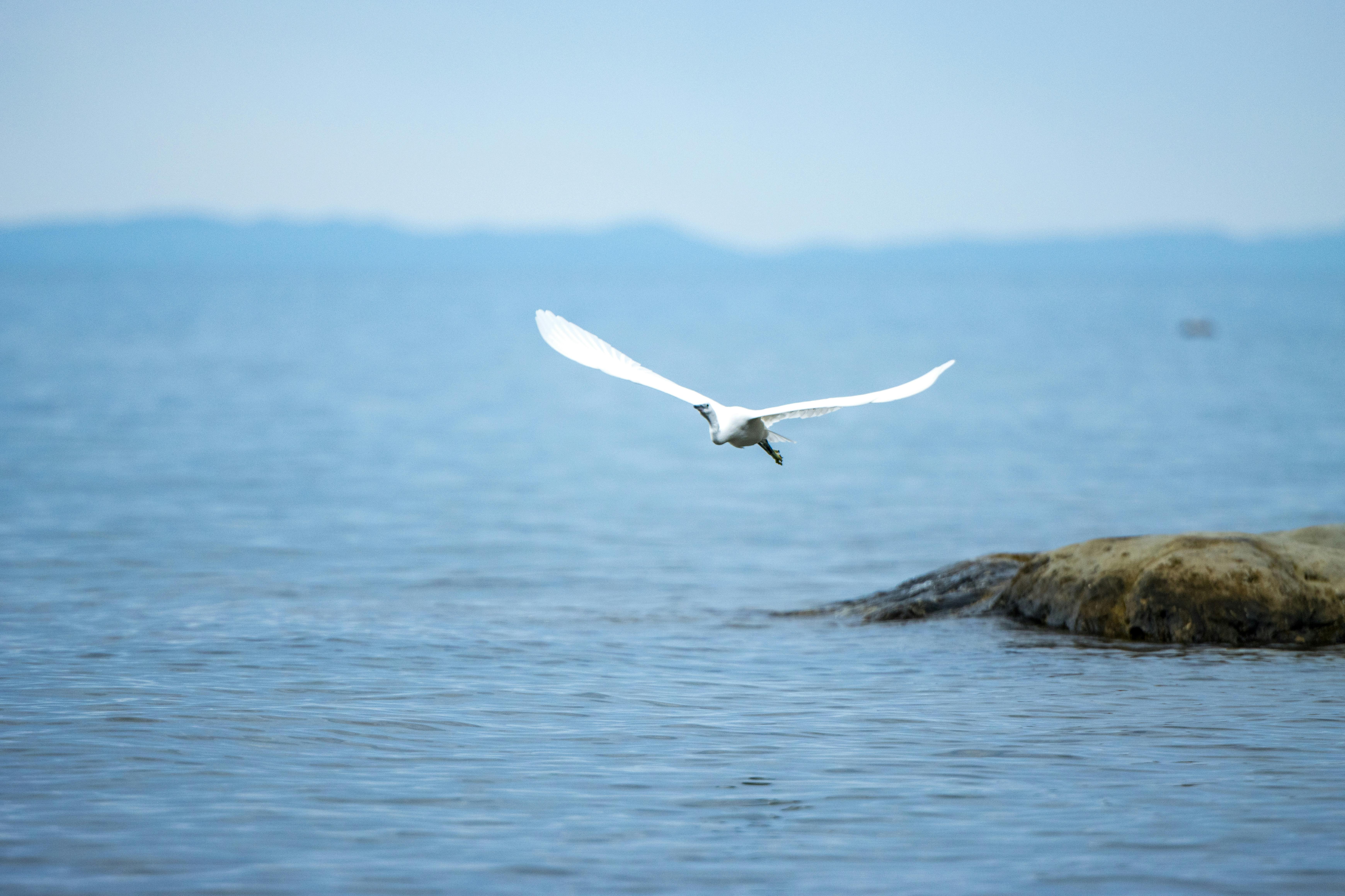 Itaú Unibanco, 2025 Yatırımcı Günü'nde Stratejik Yeniden Konumlandırma ve Dijital Genişlemeyi Açıkladı