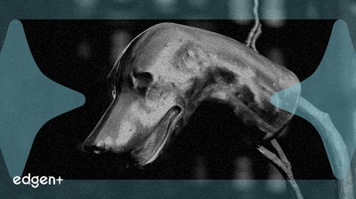 Hedge Funds Push Leverage to One-Year Peak