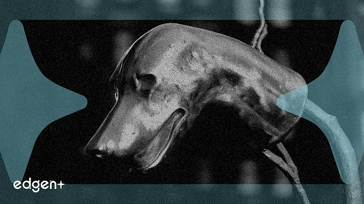 对冲基金将杠杆推至一年高点