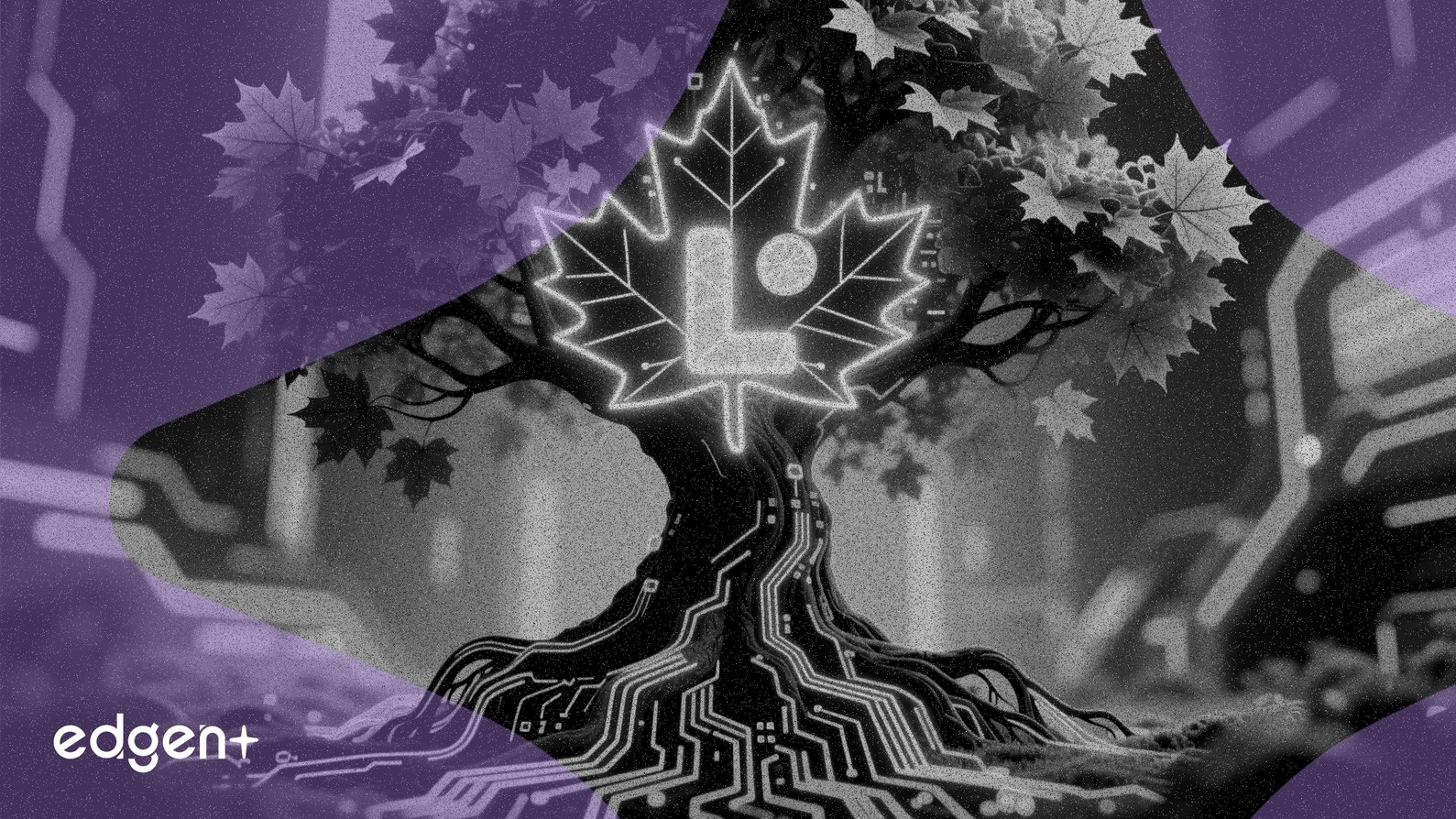 Maple Tree Capital Bets on Lemonade's AI-Driven Leverage