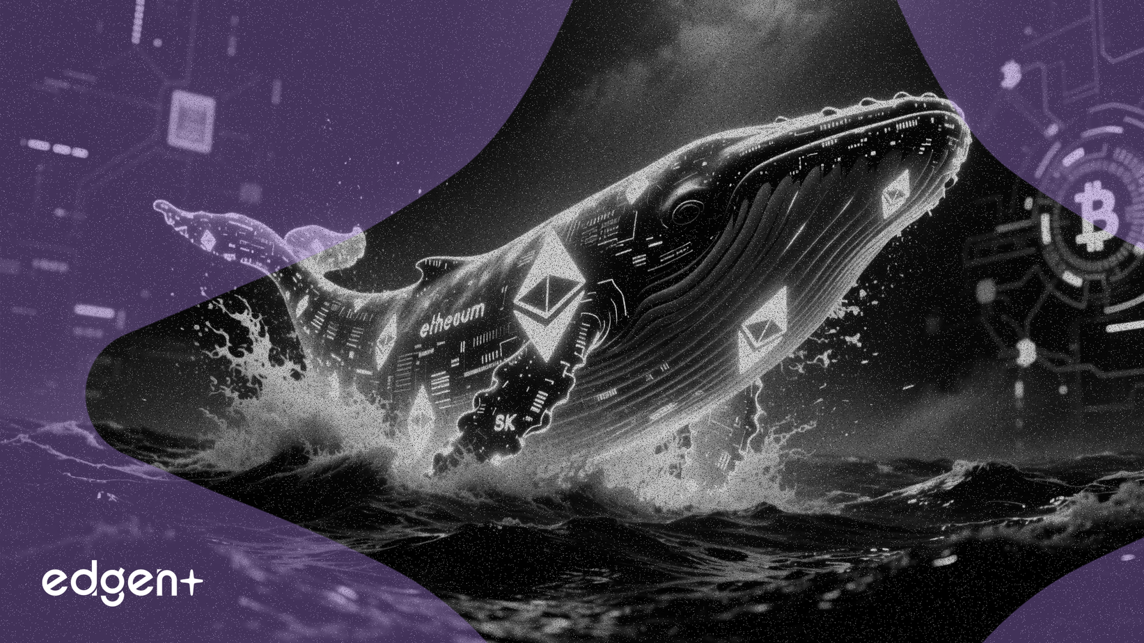 休眠十年后，预挖以太坊巨鲸浮出水面