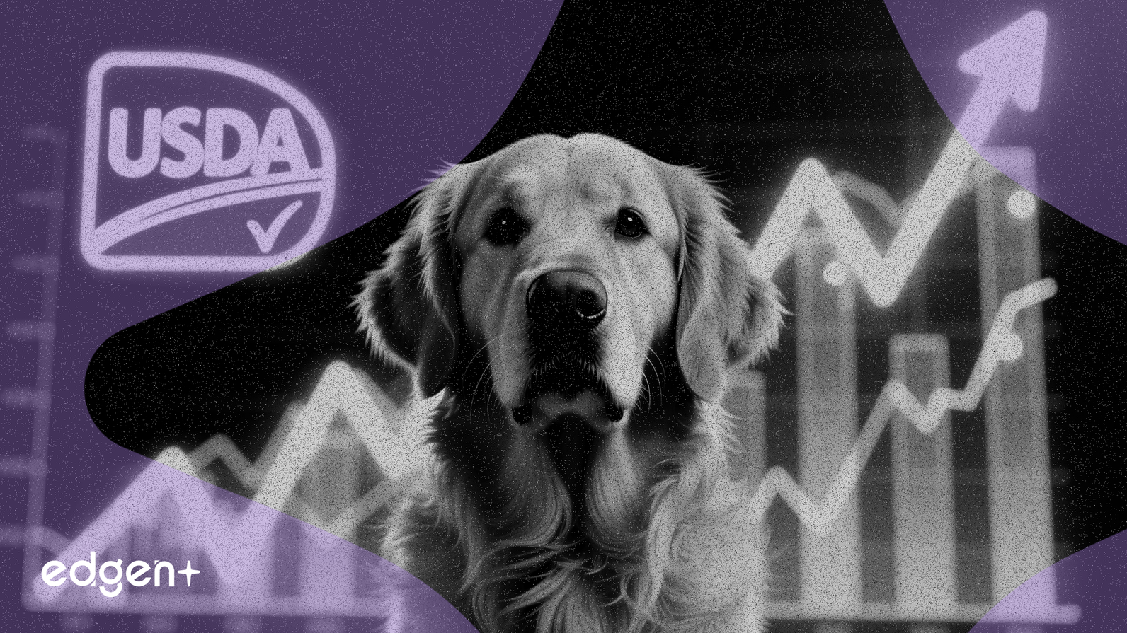 礼来动保（Elanco）因犬用药物Befrena获美国农业部批准而上涨