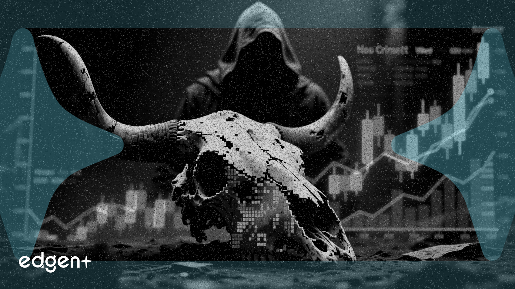 높은 소 가격, 현대식 가축 절도 증가 부추겨