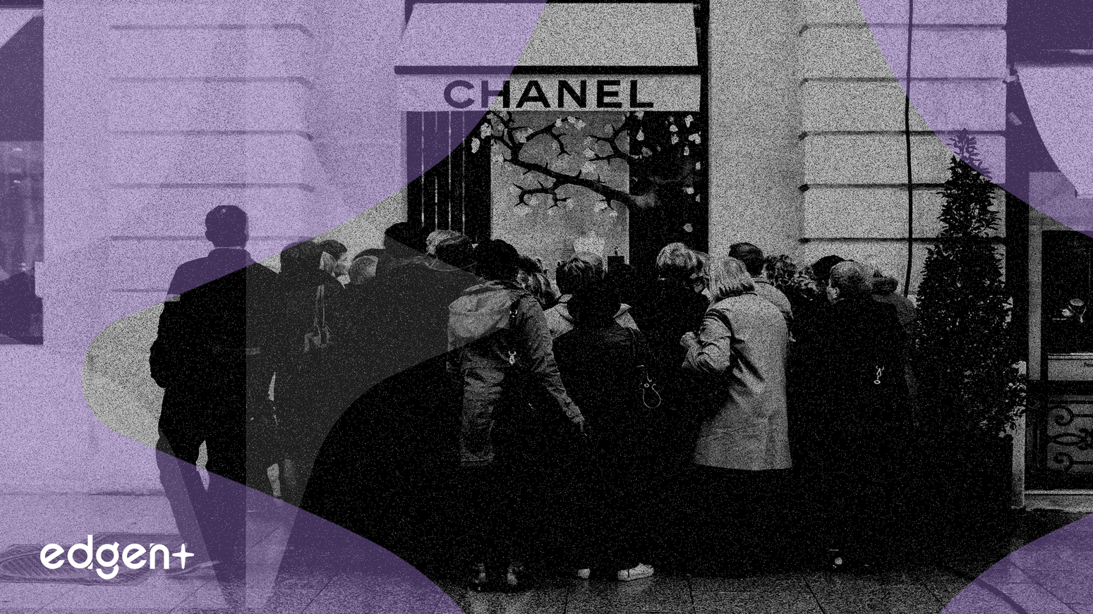 Lulus, 2025년 3분기 실적 발표: 매출 9% 감소에도 불구하고 마진 성장