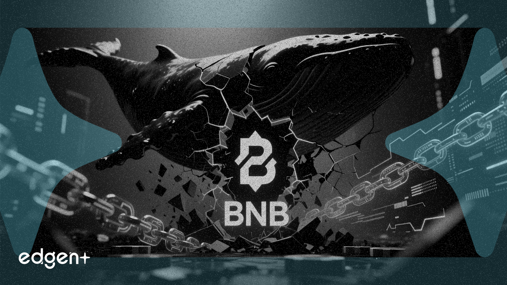 Cá voi đặt cược đòn bẩy 11,2 triệu đô la vào phe bán BNB