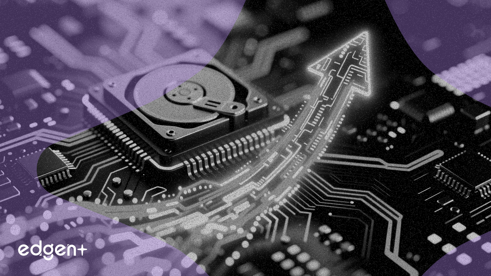 Western Digital Gains 7% as Storage Stocks Advance