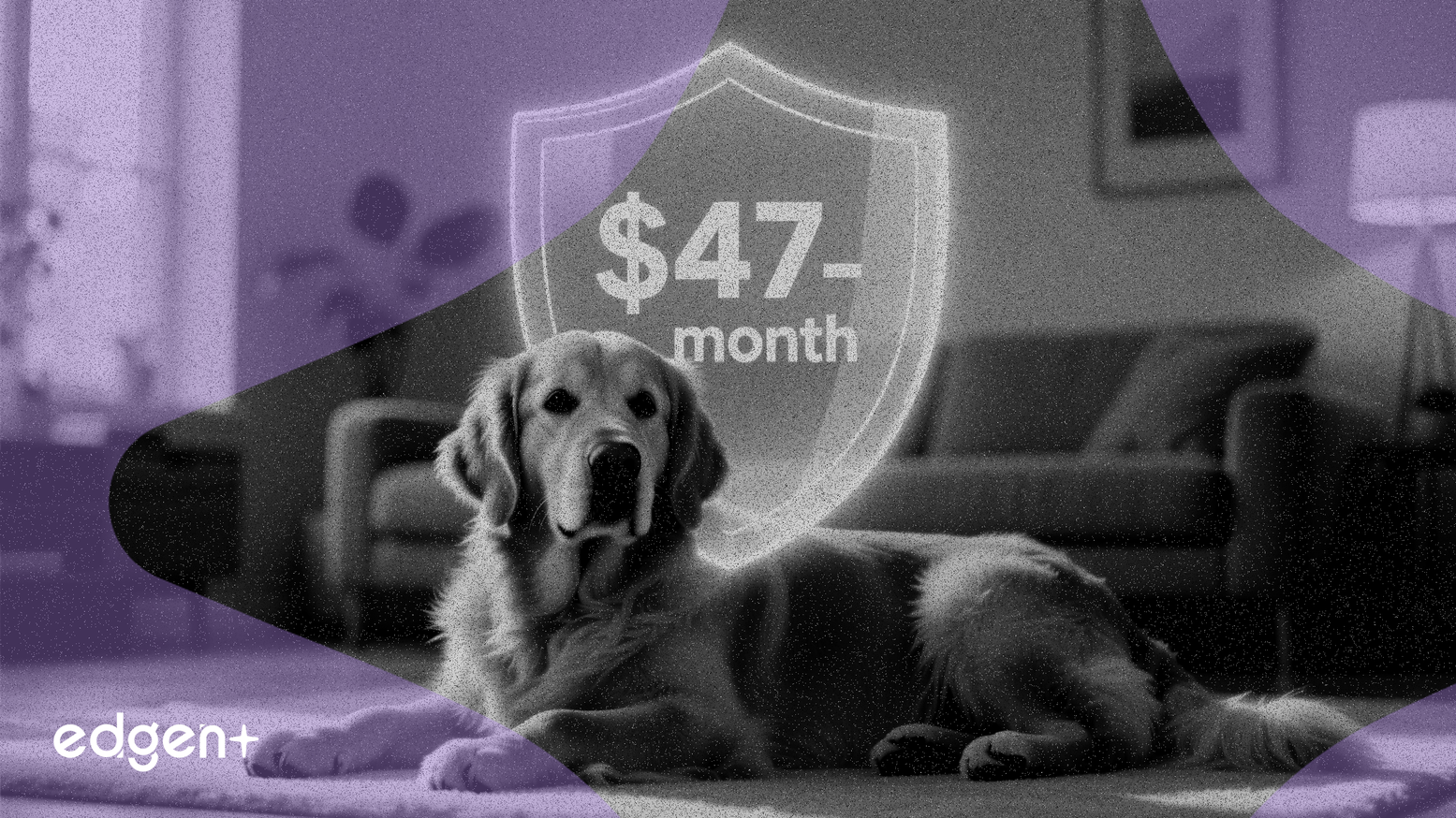 Progressive, Ayda 47 Dolarlık Sigorta Planıyla Evcil Hayvan Piyasasını Hedefliyor