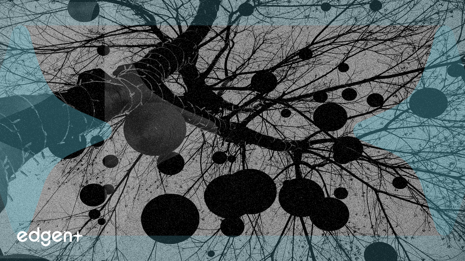 GH研究公司因FDA批准抗抑鬱藥試驗而股價飆升19%