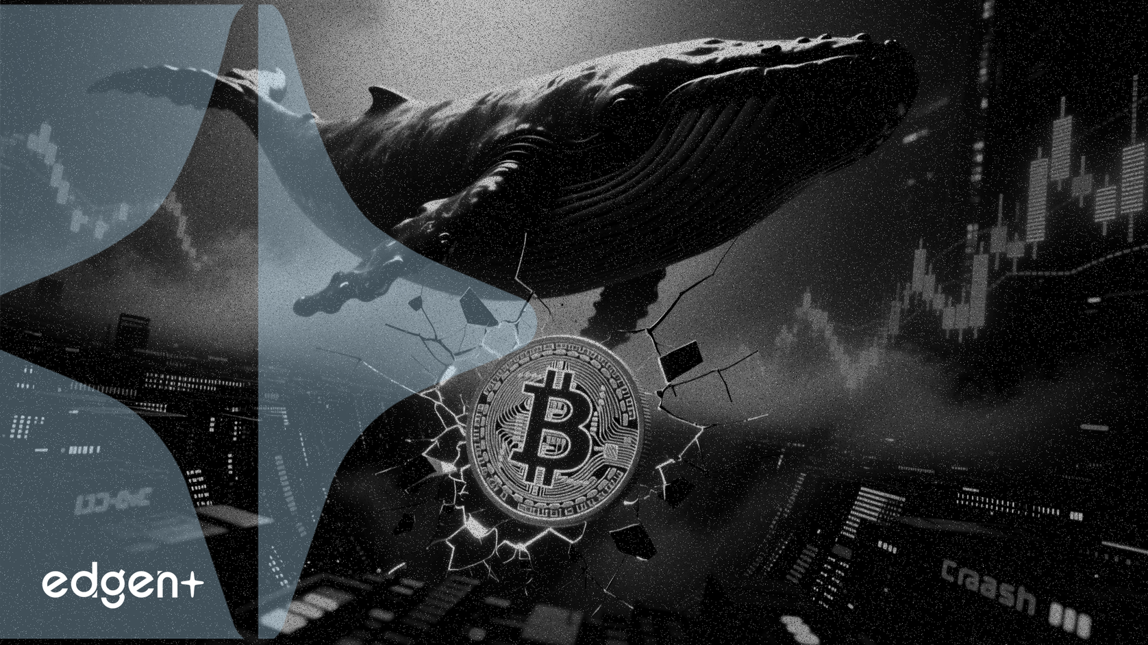 Bitcoin en riesgo de caída del 20% mientras ballenas mueven 10.000 BTC a exchanges