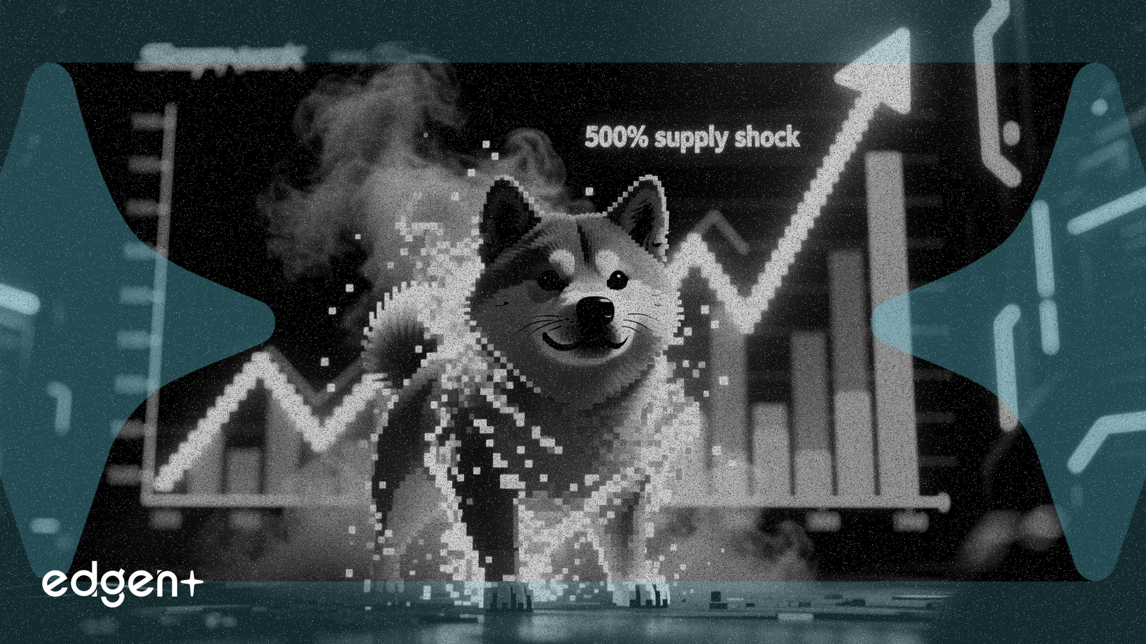 시바이누 소각률 500% 급증, 공급 충격 발생