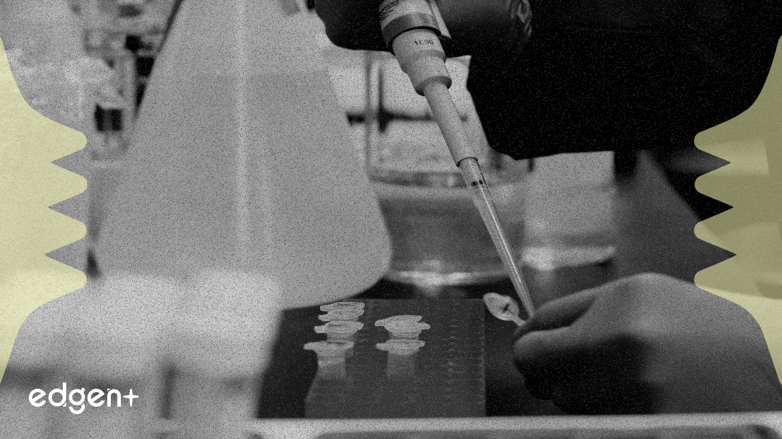 Các động thái thị trường: TSMC, AstraZeneca, Lloyds, Fresnillo và Canal+ điều hướng các diễn biến quan trọng