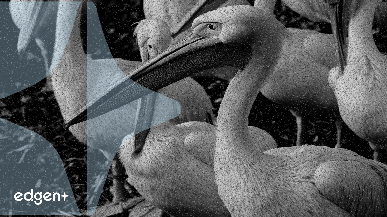 El Comité de Basilea considera relajar las directrices bancarias sobre criptomonedas ante el auge de las stablecoins