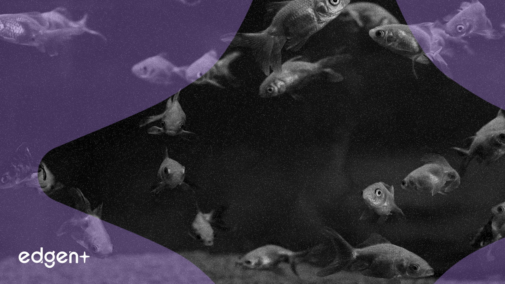 GGBR Inc.がI-ON Digital Corp.との提携によりGoldfish金担保型ステーブルコインをローンチ