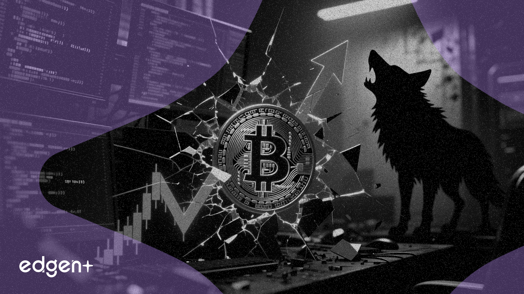 Terawulf Stock Falls 12.8% on Bitcoin Drop, AI Fears