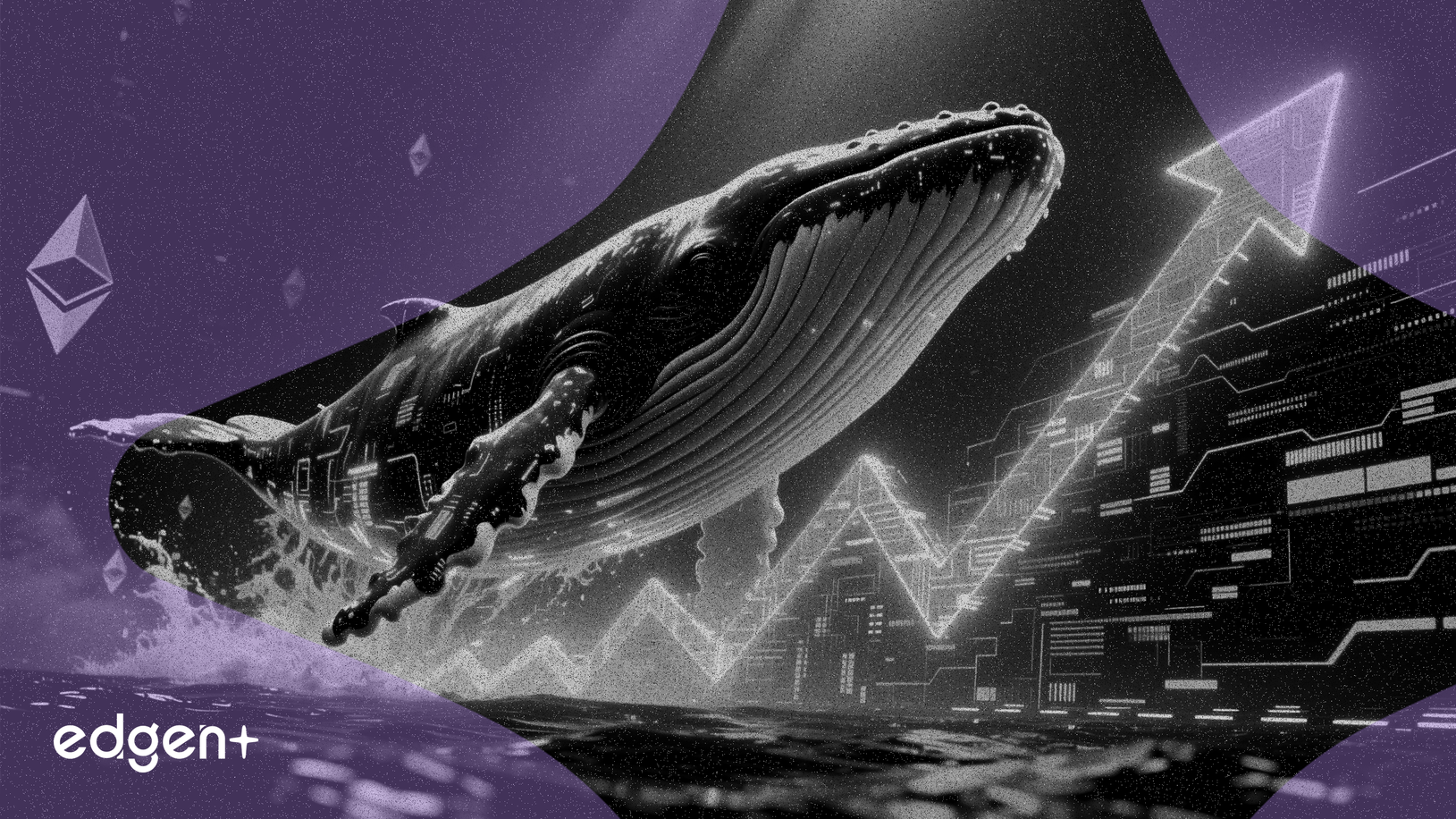 Ballena apuesta $89 millones en Ethereum, reconstruyendo una posición larga importante