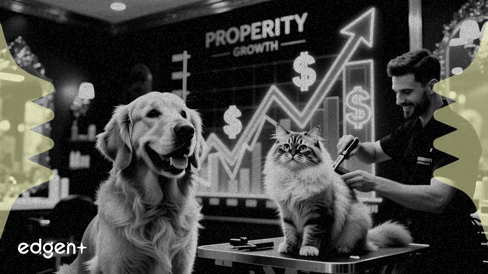 El mercado del aseo de mascotas alcanzará los 11.800 millones de dólares en 2032 con un crecimiento del 7,2%