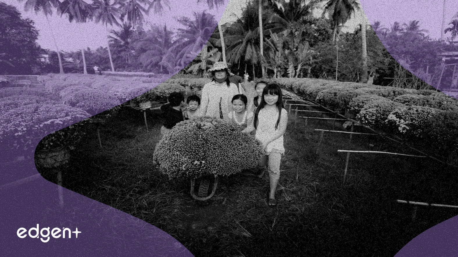 麥瑟公園SPAC將與Cube集團合併，需收購5億美元Solana金庫