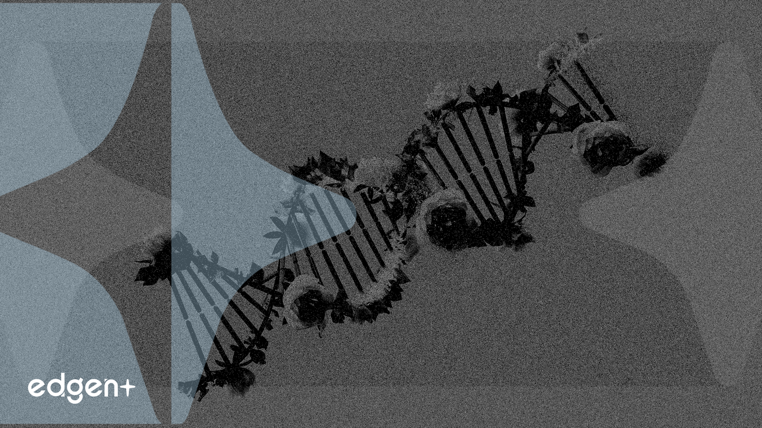 BEAM Stock Rises 59% on Promising Sickle Cell Drug Data